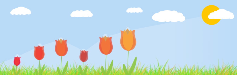 Tulpen zum Muttertag - XOVI