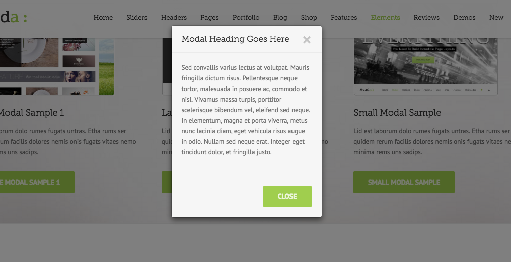 Modal Popup Beispiel Avada