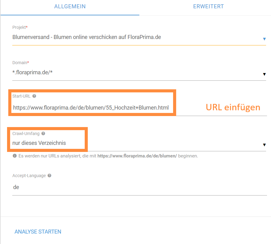 Screenshot XOVI Suite URL Analyse starten im Onpage Bereich