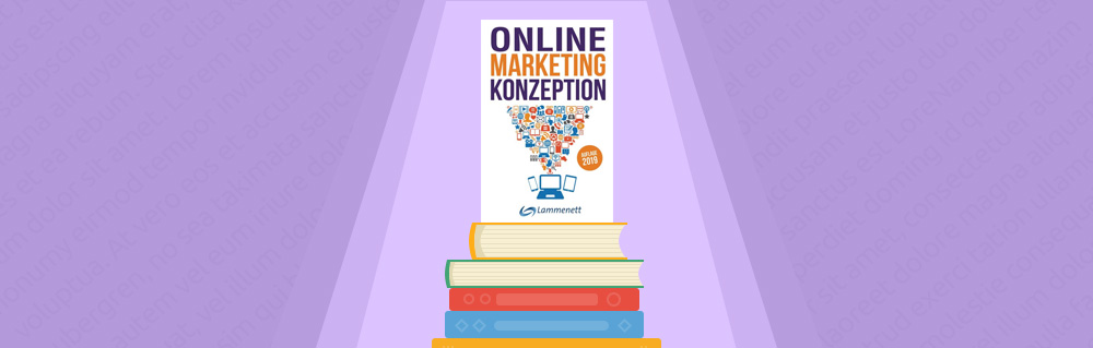 Review des Buches Online Merketing Konzeption von Dr. Erwin Lammenett