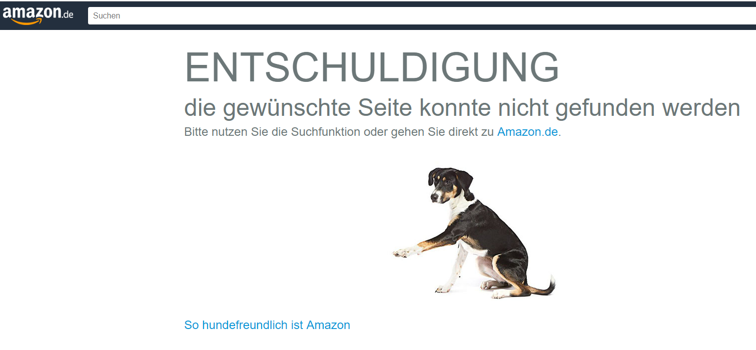 Screenshot einer 404 Seite bei amazon.de