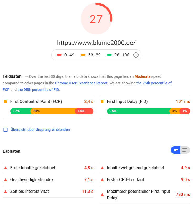 google pagespeed insights blume2000