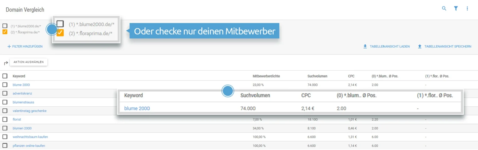 domain-vergleich-exklusive-keywords sea-tool