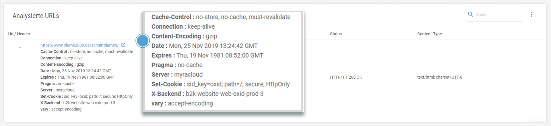 Screenshot-Onpage_HTTP-Header-Analyse-1